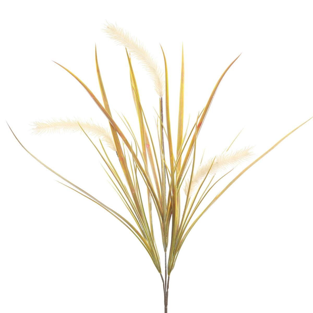 Pampas Grass Stem