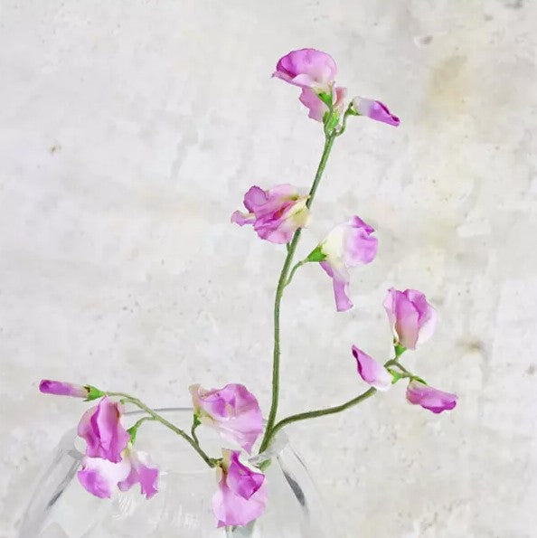 Sweetpea Spray – Lilac Pink