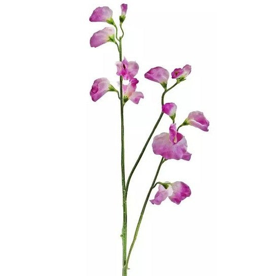 Sweetpea Spray – Lilac Pink