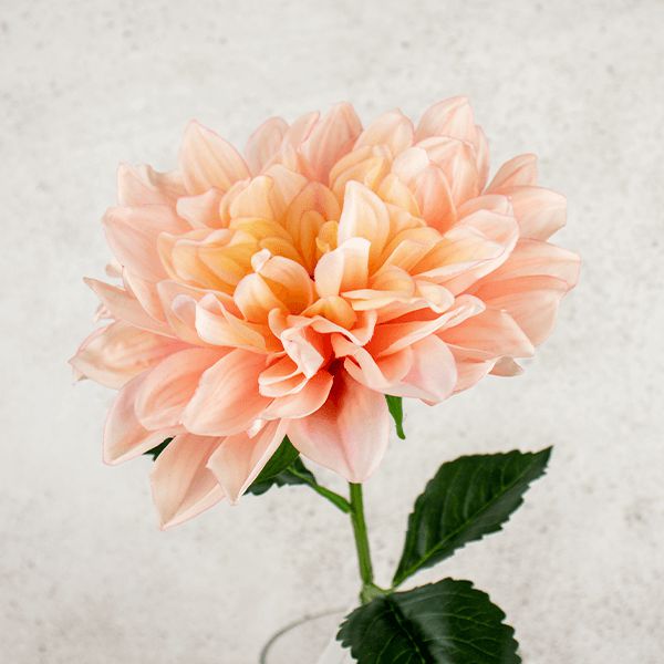 Artificial Dahlia Stem - Peach Flower