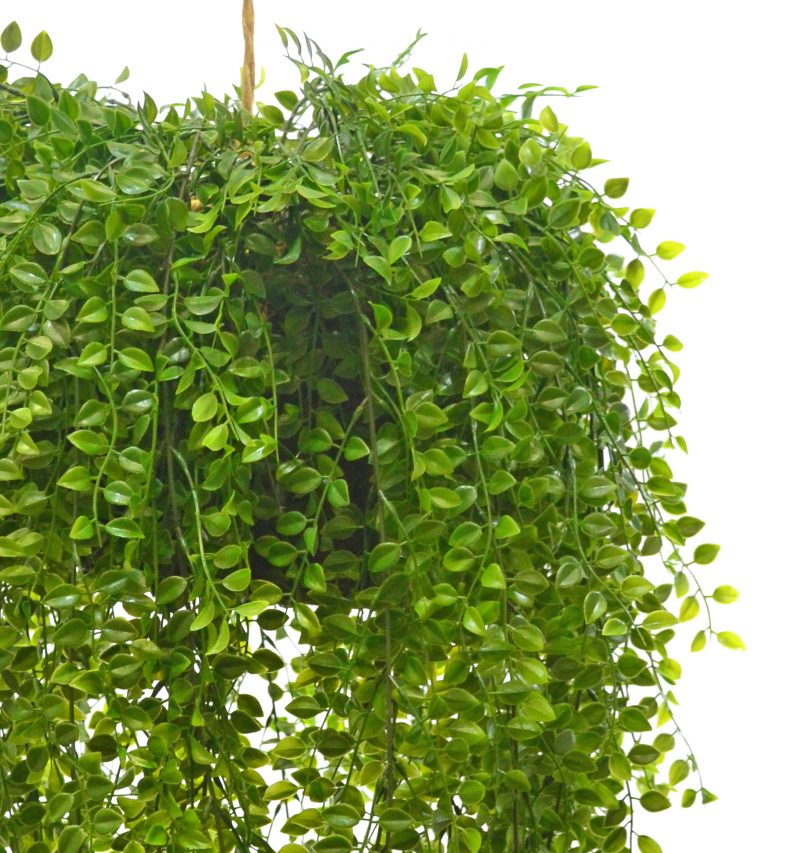 Fake hanging plant