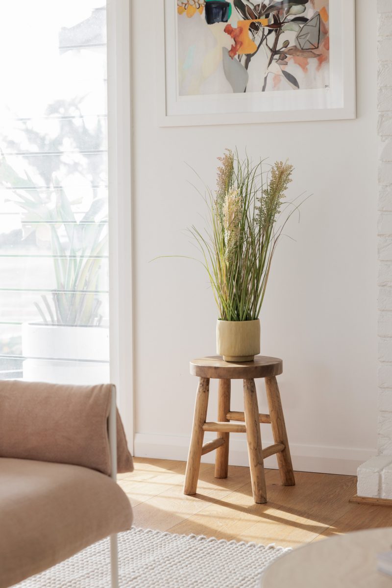 Artificial Pampas Grass Plant in Ceramic Pot