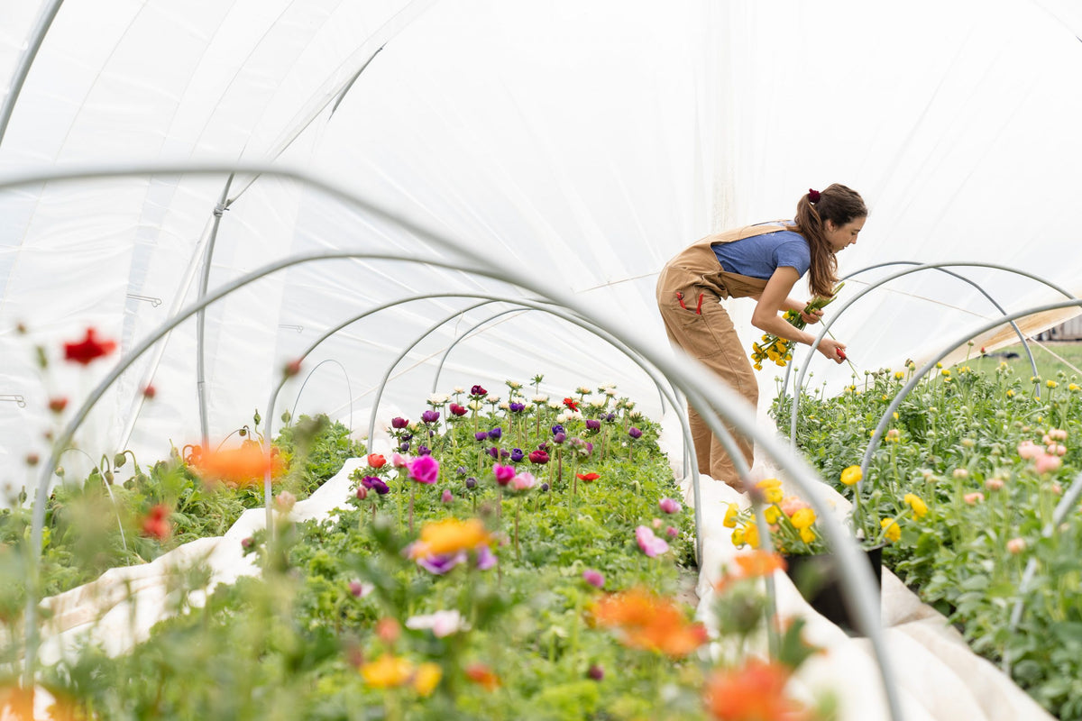 Environmental Cost Of Artificial Flowers vs Fresh