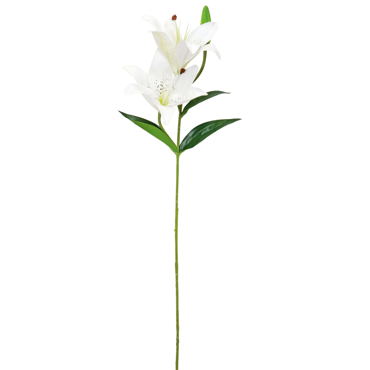 Tiger Lily Spray - White