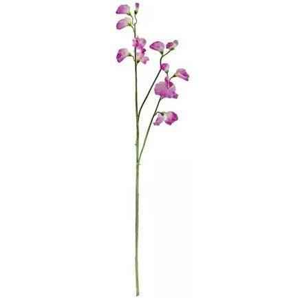 Sweetpea Spray – Lilac Pink