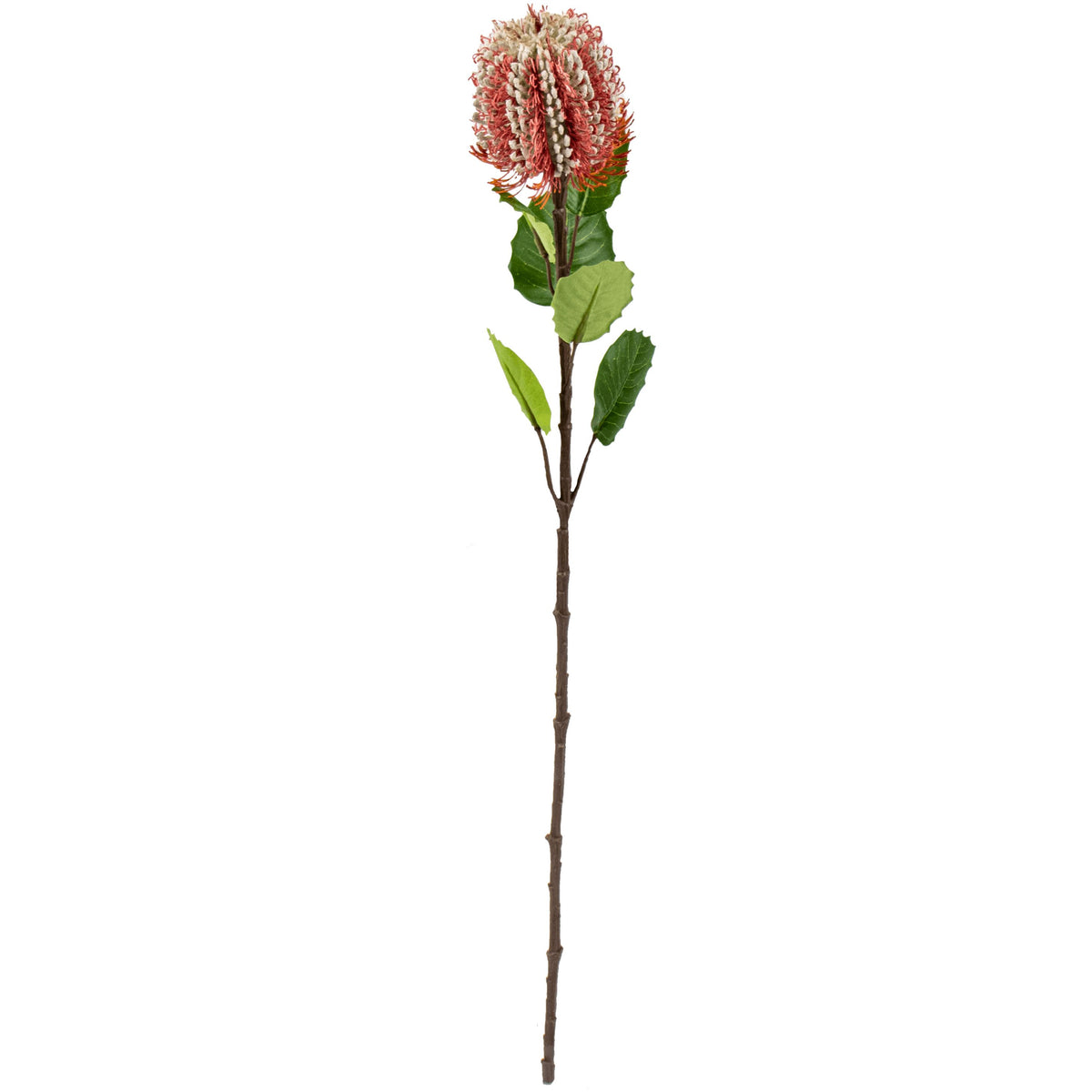 Artificial Banksia Stem