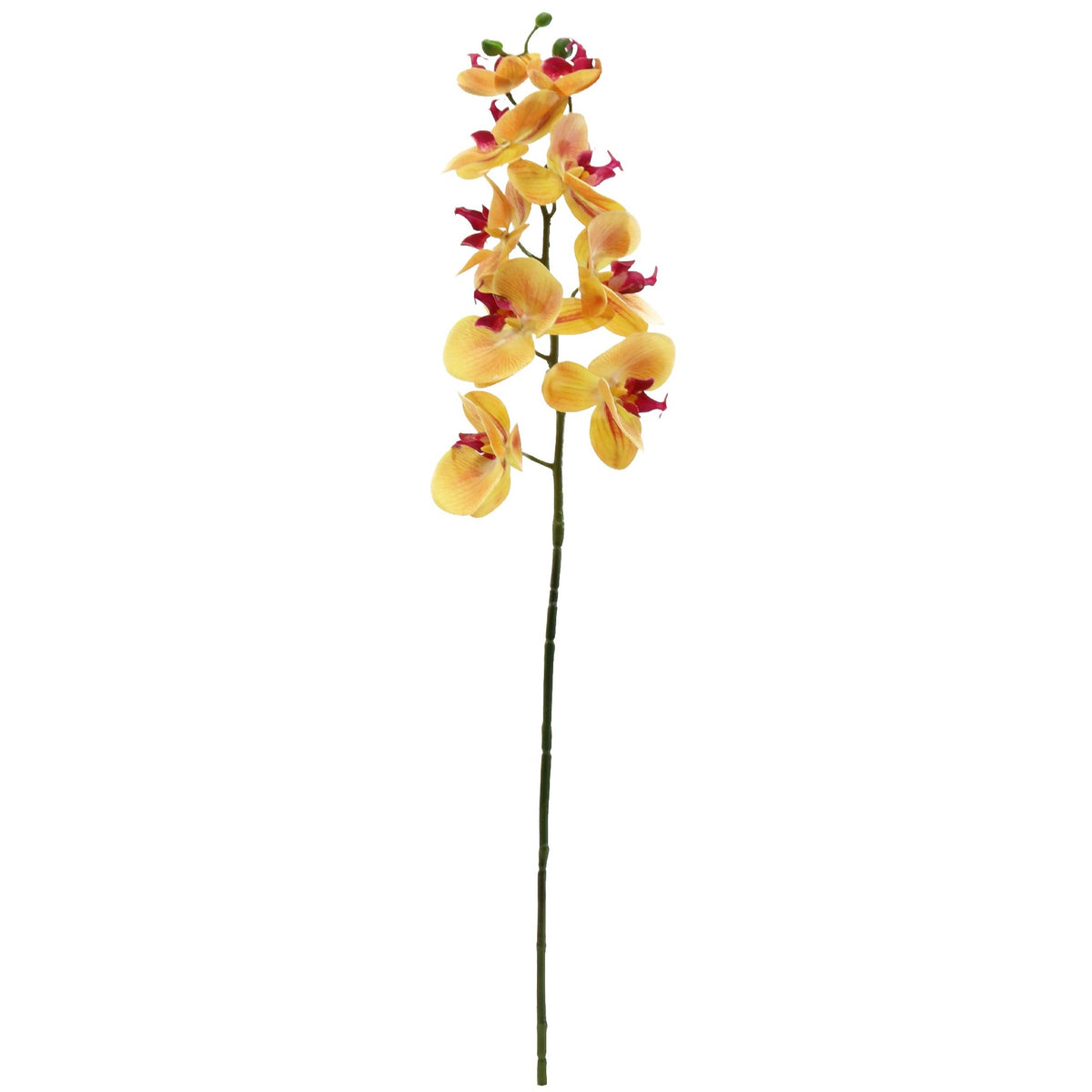Artificial Phalenopsis Orchid - Yellow 77cm