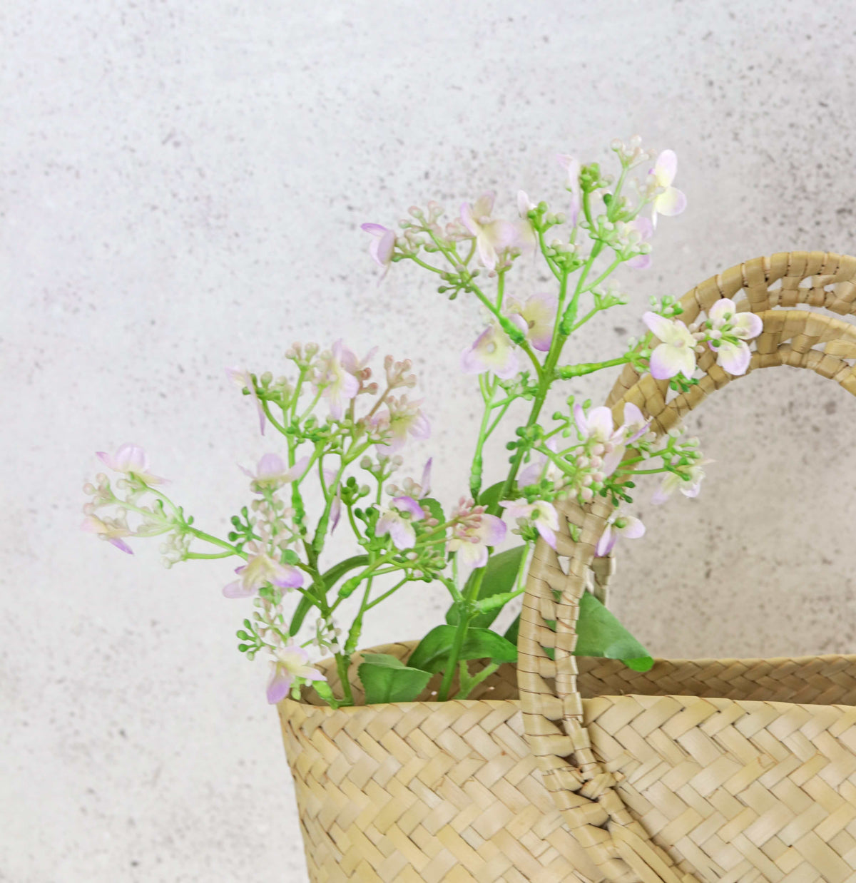 Fake Verbena Spray