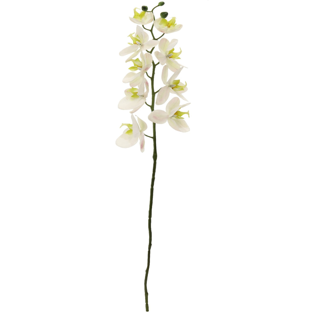 artificial orchid flower stem