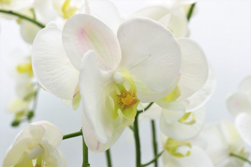 Fake white orchid plant set in large silver pot