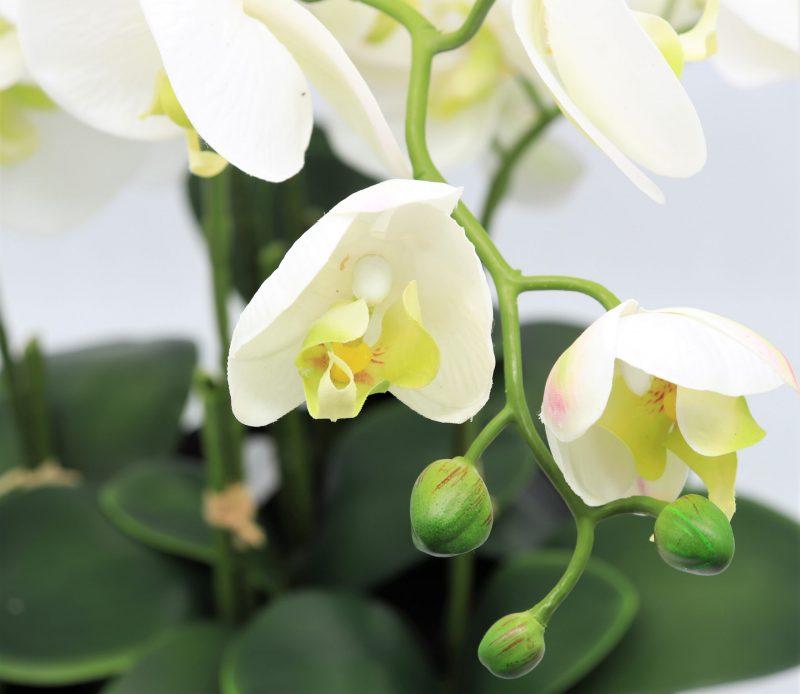 Artificial orchids
