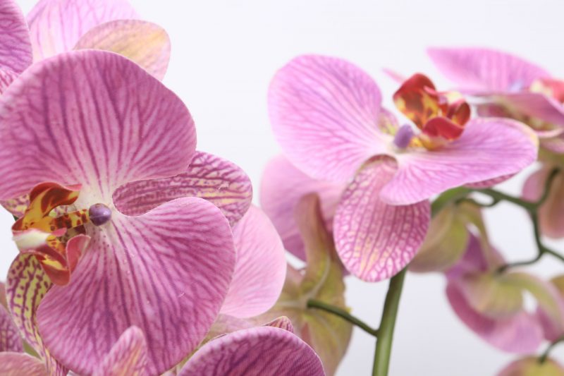 Silk orchid plant in metal pot