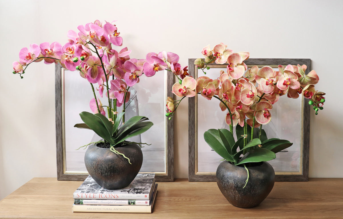 Artificial orchid plant in pot